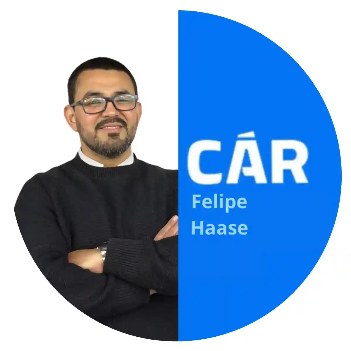Ejecutivo Comercial de Carbula